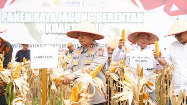 polda-riau-panen-raya-18-ton-jagung-di-lahan-seluas-82-hektare-di-kota-pekanbaru-1758947882153_169