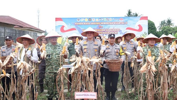 polda-riau-melaksanakan-panen-raya-jagung-di-kota-pekanbaru-1778929722809_169