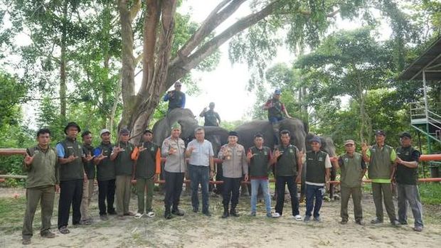 kapolda-riau-irjen-pol-herry-heryawan-mengunjungi-pusat-latih-gajah-plg-minas-kabupaten-siak-1783690068704_169