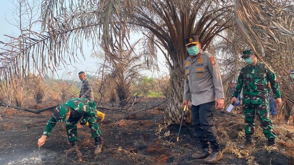 kapolda-riau-dan-pangdam-tuanku-tambusai-mengecek-karhutla-di-kabupaten-siak-1788606501564_169